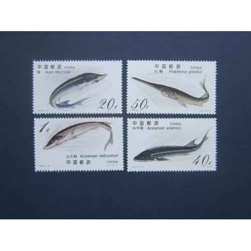 4 марки Китай 1994 фауна рыбы осетровые MNH