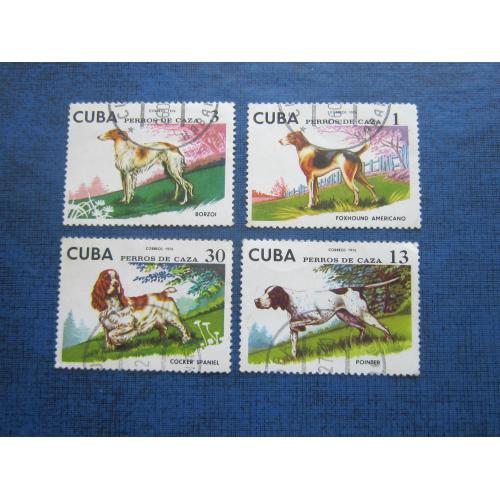 4 марки Куба 1976 фауна собаки гаш