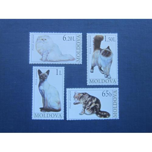 4 марки Молдова 2007 фауна коты кошки домашние MNH КЦ 6.7 $