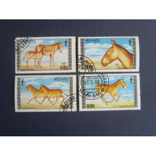 4 марки Монголия 1988 фауна кулан гаш одна марка как есть