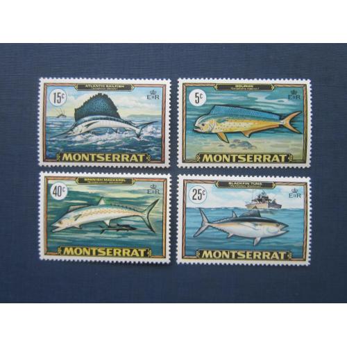 4 марки полная серия Монсеррат 1969 фауна рыбы MLH