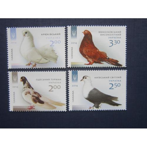 4 марки Украина 2014 фауна птицы голуби MNH