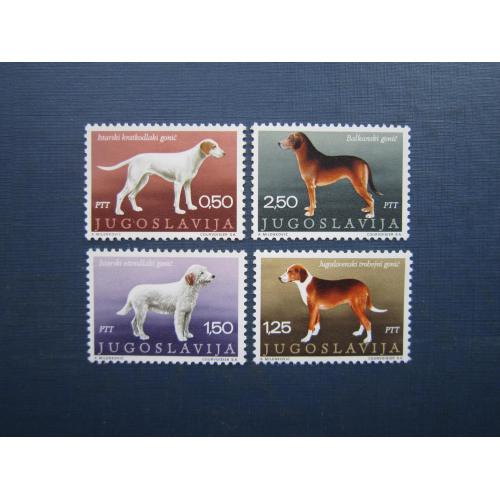 4 марки Югославія 1970 фауна собака гончак MNH