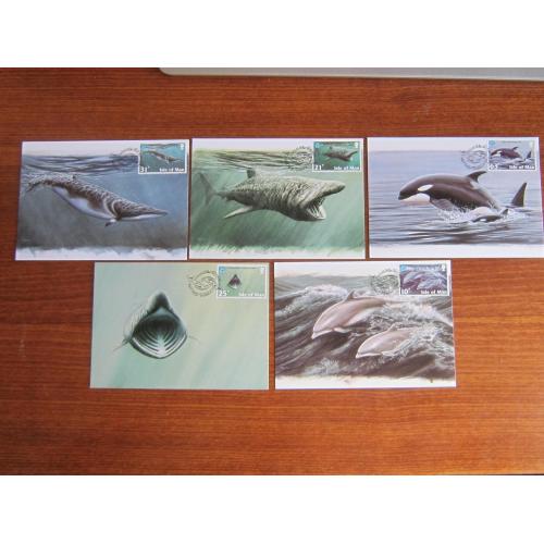 5 картмаксимумов серия открытка марка СГ Остров Мэн 1998 фауна морская китовая акула кит дельфины
