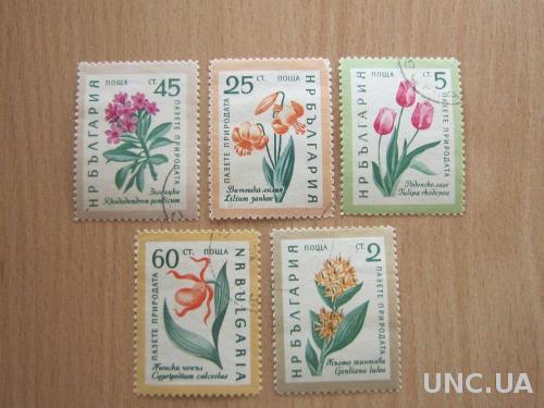 5 марок Болгария 1960 флора цветы
