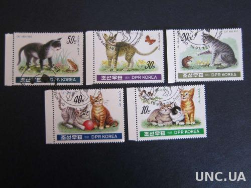 5 марок Корея 1991 коты кошки
