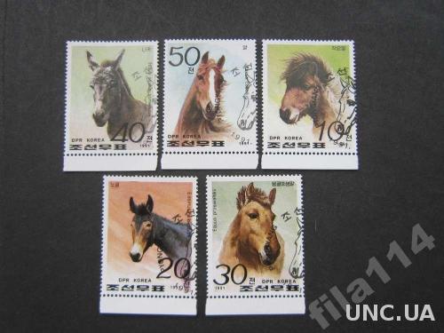 5 марок Корея 1991 лошади