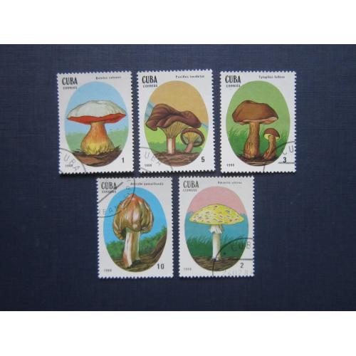 5 марок Куба 1988 флора грибы гаш