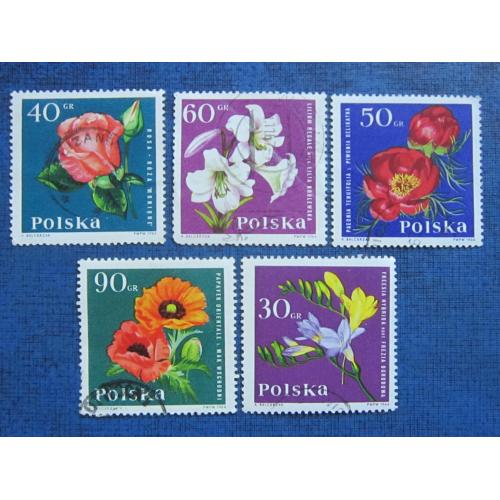 5 марок Польша 1964 флора цветы садов и полей гаш