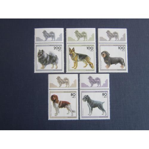 5 марок с полями Германия ФРГ 1995 фауна собаки породы MNH КЦ 6.5 $