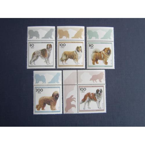 5 марок с полями Германия ФРГ 1996 фауна собаки породы MNH КЦ 6.5 $