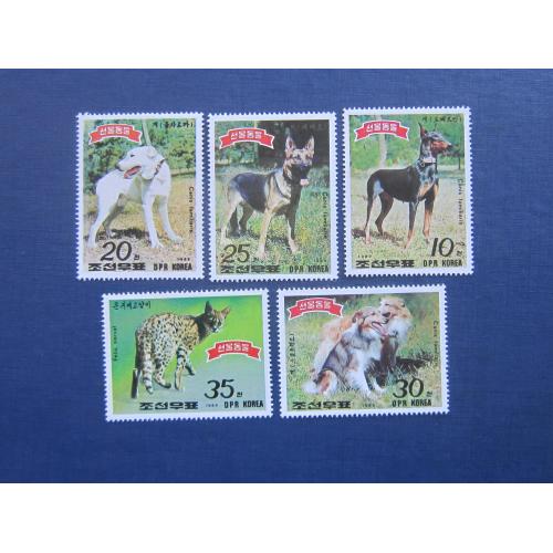 5 марок Северная Корея КНДР 1989 фауна дикий кот сервал собаки колли доберман алабай MNH КЦ 5.3 $