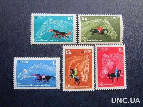 5 марок СССР 1968 лошади коневодство конный спорт
