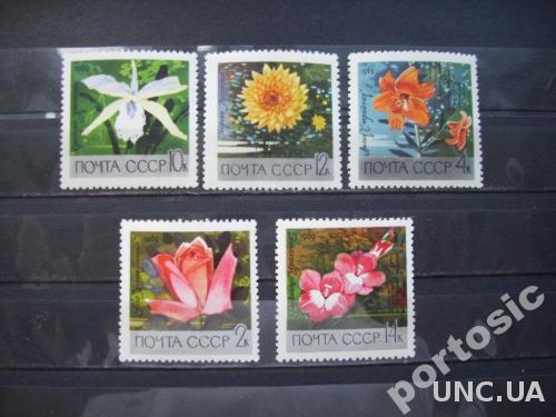 5 марок СССР 1969 цветы MNH
