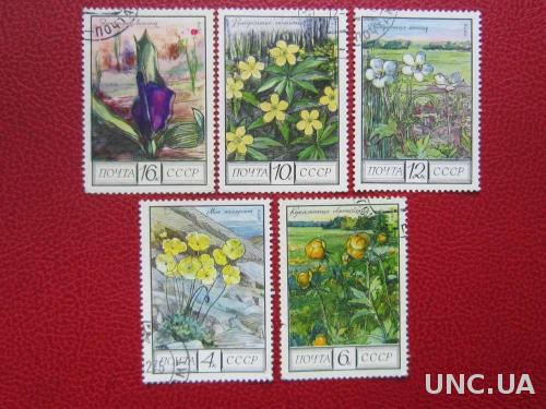 5 марок СССР 1975 лесные цветы