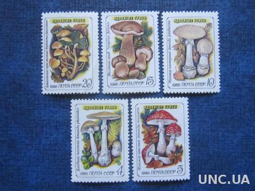 5 марок СССР 1986 флора грибы MNH