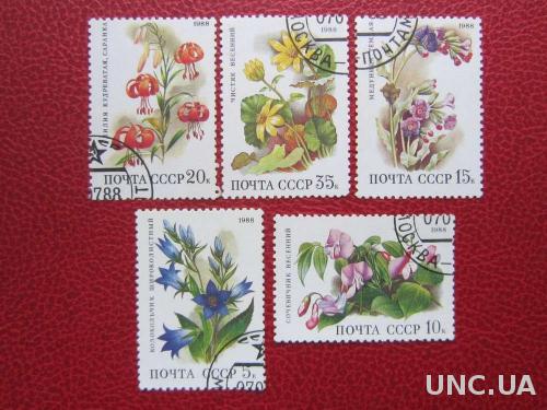 5 марок СССР 1988 лесные цветы