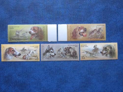 5 марок СССР 1988 Отечественные породы охотничьих собак MNH