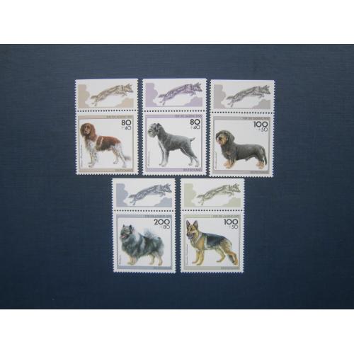 5 марок з купонами повна серія Німеччина ФРН 1995 фауна домашні собаки породи MNH КЦ 7 $