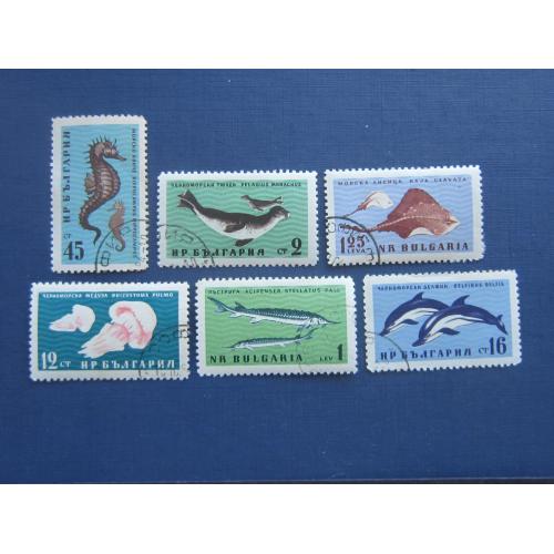 6 марок Болгария 1961 фауна морская Чёрного моря рыбы осётр скат тюлень дельфин медуза гаш КЦ 5 $