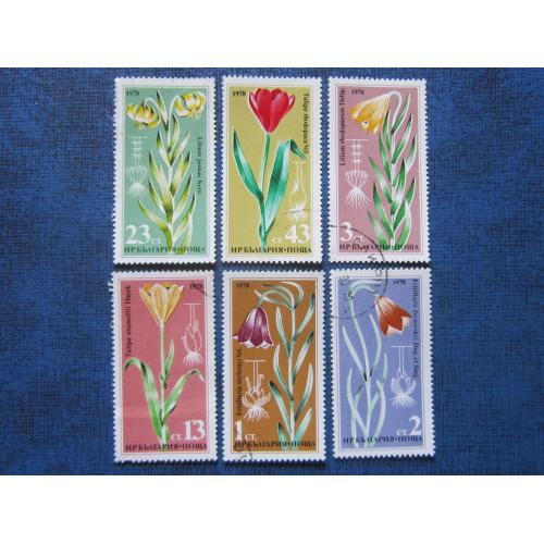 6 марок Болгария 1978 флора цветы лилии, тюльпаны гаш