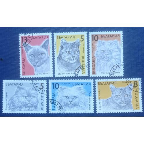 6 марок Болгария 1989 фауна кошки коты гаш