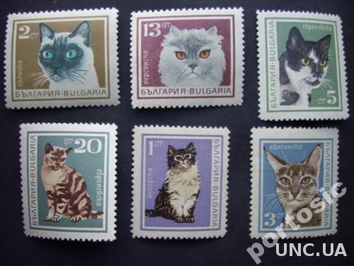 6 марок Болгария кошки н/гаш
