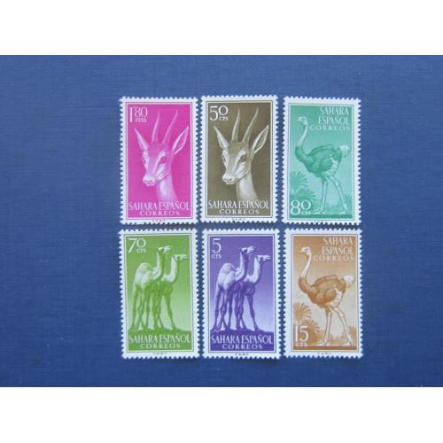 6 марок Испанская Сахара 1957 фауна верблюды антилопы птицы страусы MNH