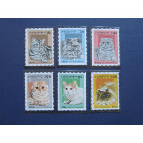 6 марок Камбоджа 1997 коты кошки MNH
