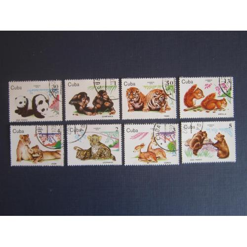 6 марок Куба 1979 фауна детёныши диких животных гаш