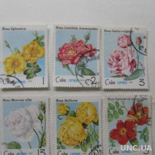 6 марок Куба цветы розы 1979
