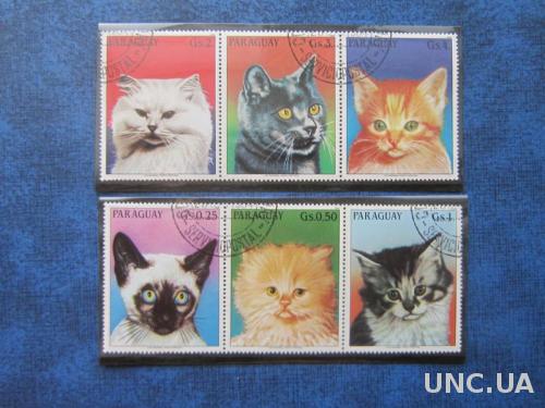 6 марок Парагвай коты кошки
