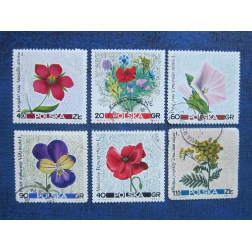 6 марок Польша 1967 флора цветы  гаш