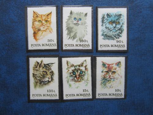 6 марок Румыния 1993 фауна кошки коты MNH
