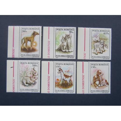 6 марок Румыния 1994 фауна котята ягнята щенки жеребёнок козлёнок зайчата MNH
