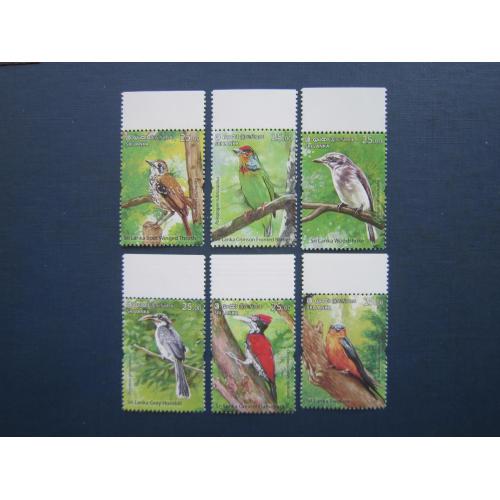 6 марок Шрі-Ланка 2021 фауна птахи орнітологія MNH