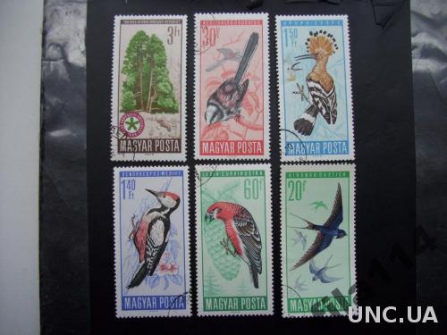 6 марок Венгрия 1966 лесные птицы

