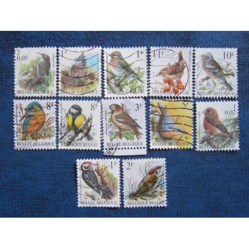12 марок Бельгия фауна птицы гаш