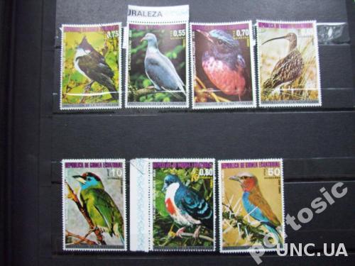 7 марок Экваториальная Гвинея птицы №2
