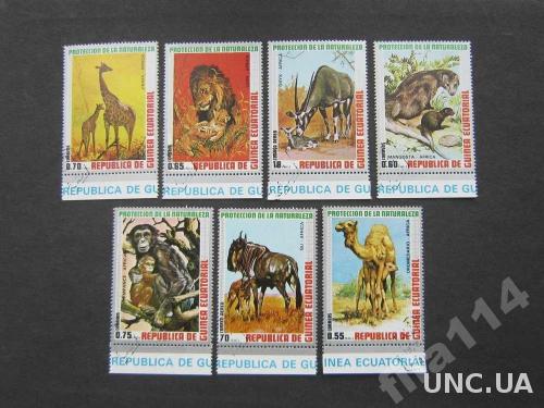 7 марок Гвинея Экваториальная фауна Африки
