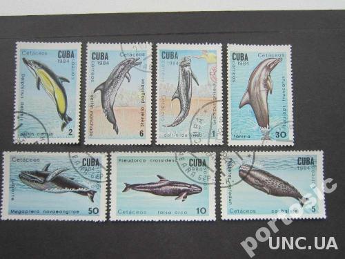 7 марок Куба 1984 дельфины полная
