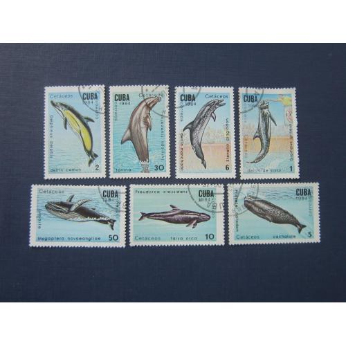 7 марок Куба 1984 фауна морская киты дельфины гаш