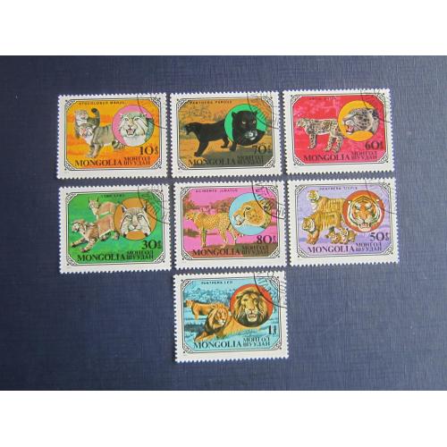 7 марок Монголия 1979 фауна дикие кошки лев леопард пантера манул каракал барс тигр гаш