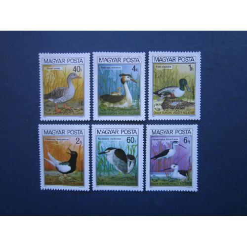 6 марок Угорщина 1980 фауна птахи MNH КЦ 4.7 $