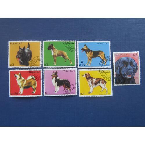 7 марок Парагвай 1980 фауна собаки породы гаш