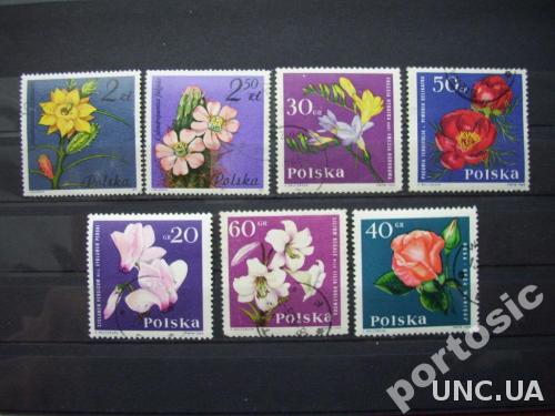 7 марок Польша 1964 цветы

