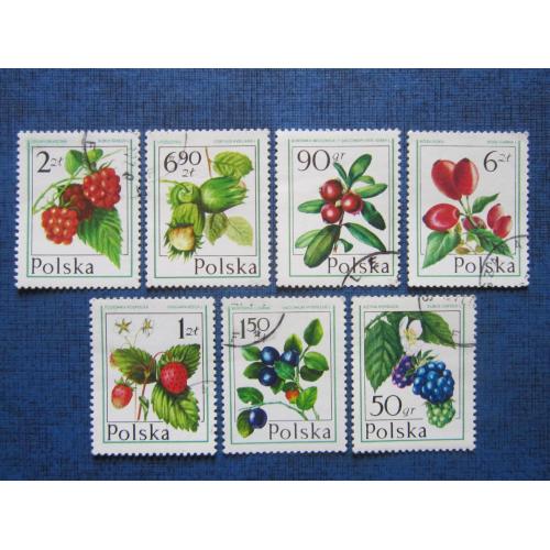 7 марок Польша флора лесные ягоды гаш