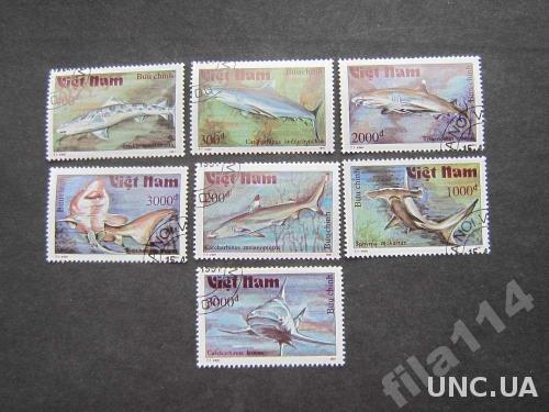 7 марок Вьетнам 1991 акулы
