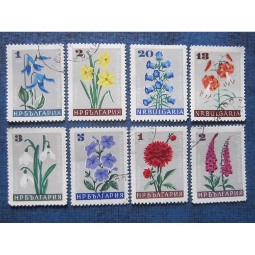 8 марок Болгария флора садовые цветы гаш