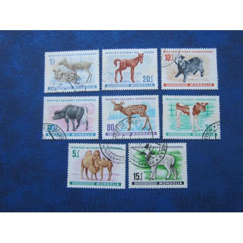 8 марок Монголия 1968 фауна детёныши молодняк животных гаш полная серия